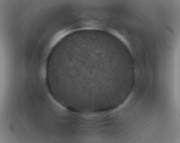 X0000114391415200910161244
