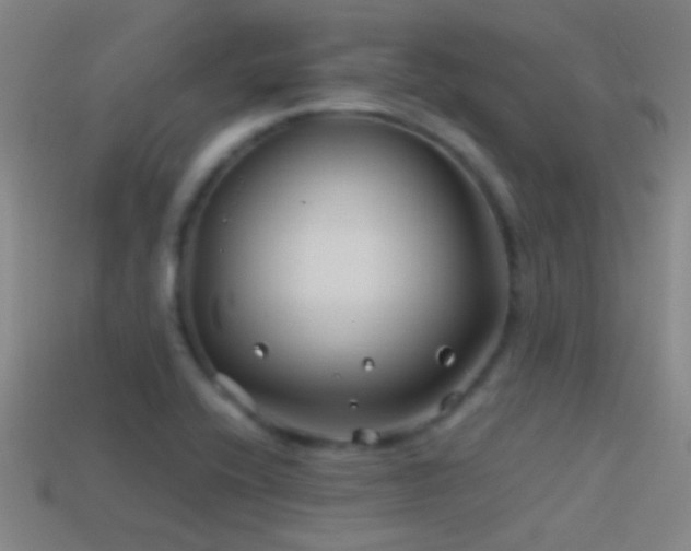 X0000114391416200910161244