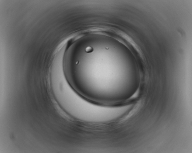 X0000114391417200910161244
