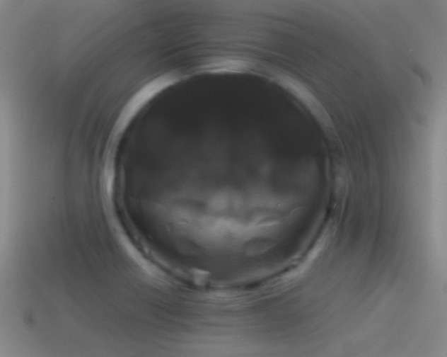 X0000114391418200910161244