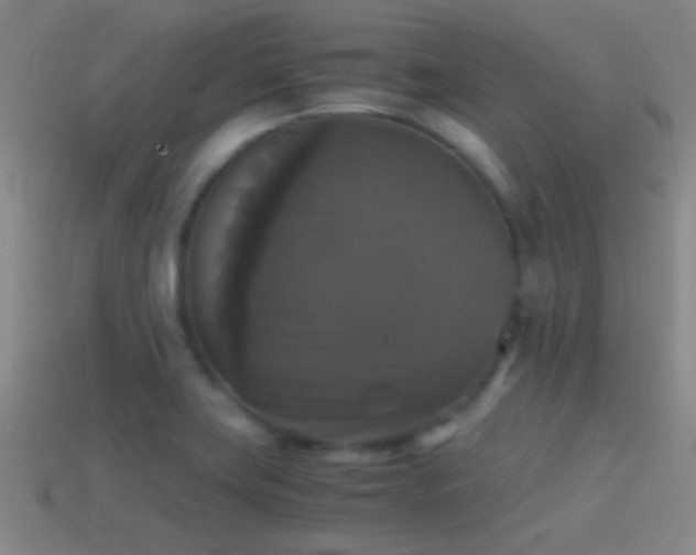 X0000114391419200910161244