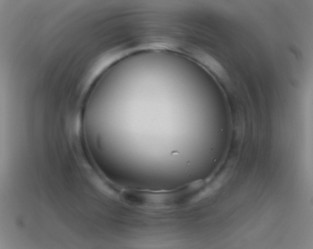 X0000114391420200910161244