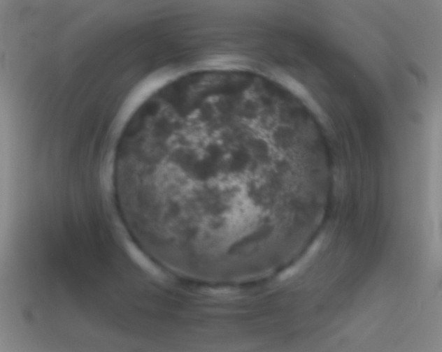 X0000114391421200910161244