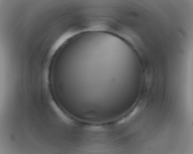 X0000114391422200910161244