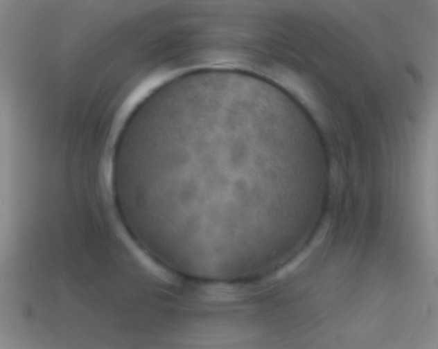 X0000114391424200910161244