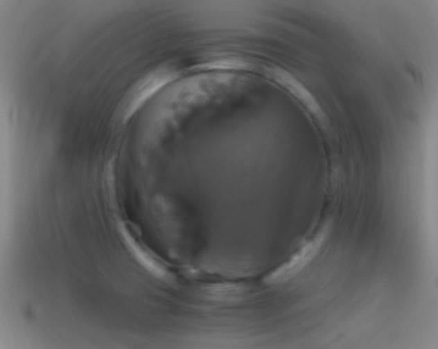 X0000114391425200910161244
