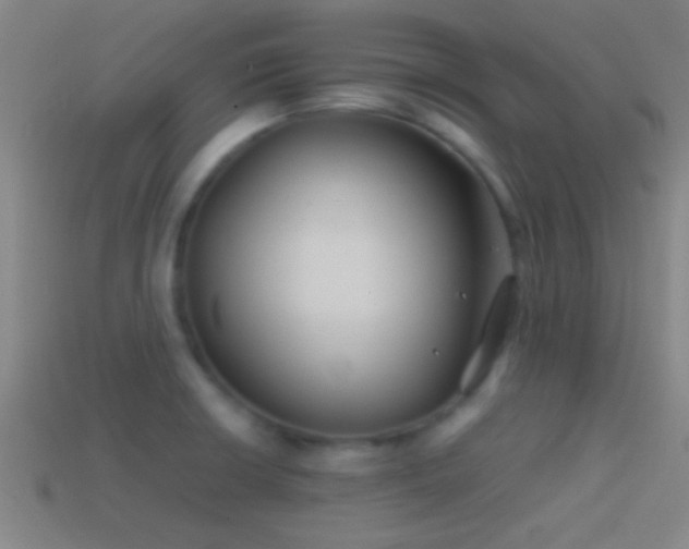 X0000114391426200910161244