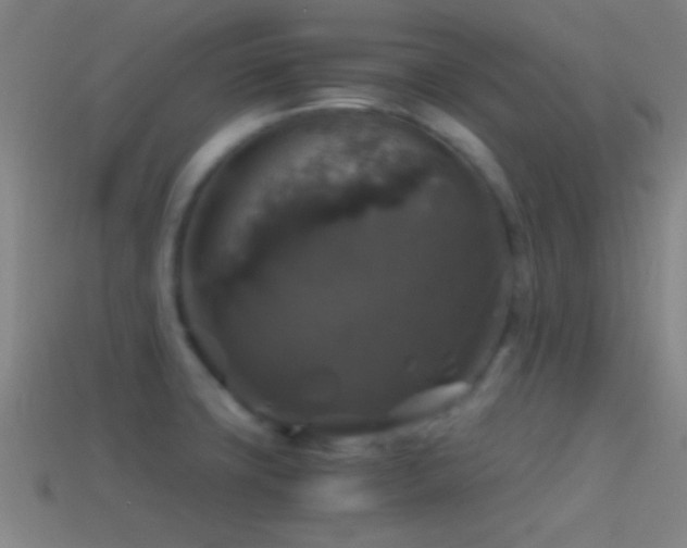X0000114391427200910161244