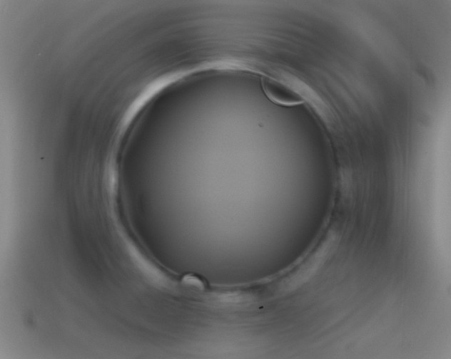 X0000114391428200910161244