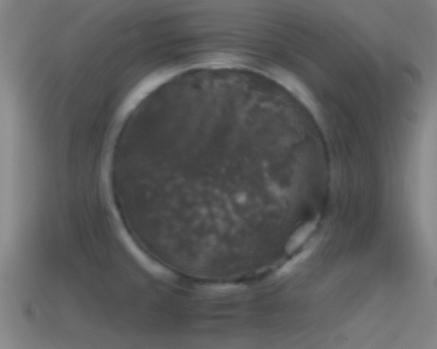 X0000114391429200910161244