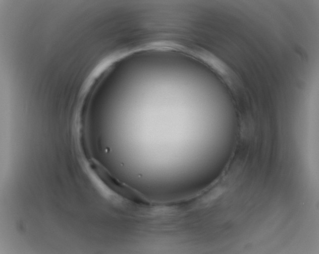 X0000114391430200910161244