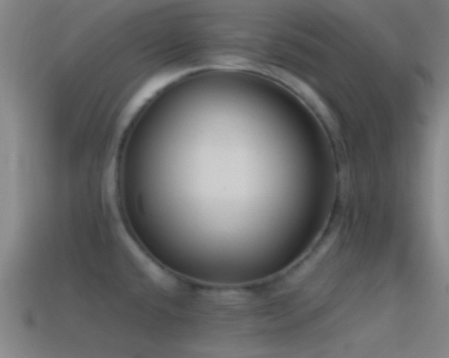 X0000114391432200910161244