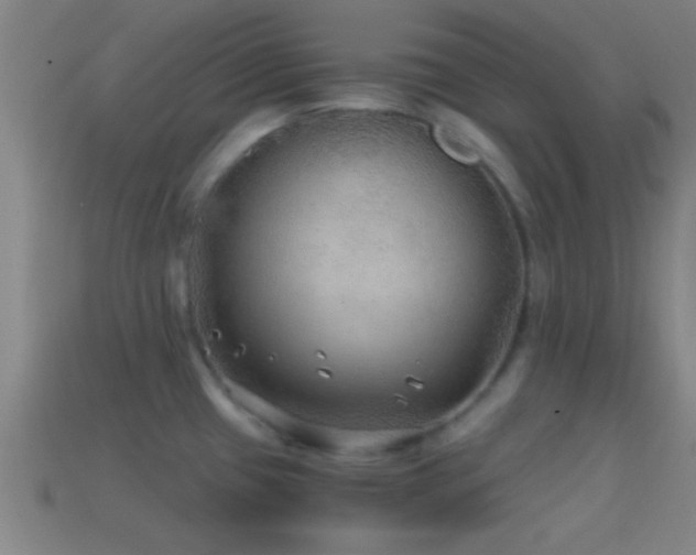 X0000114391433200910161244