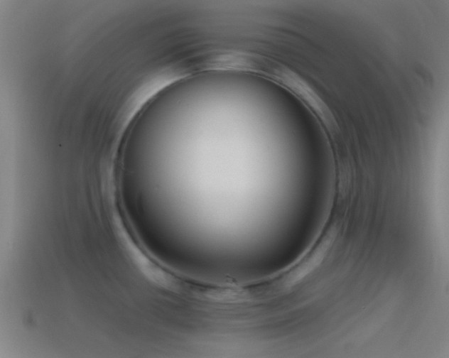 X0000114391434200910161244