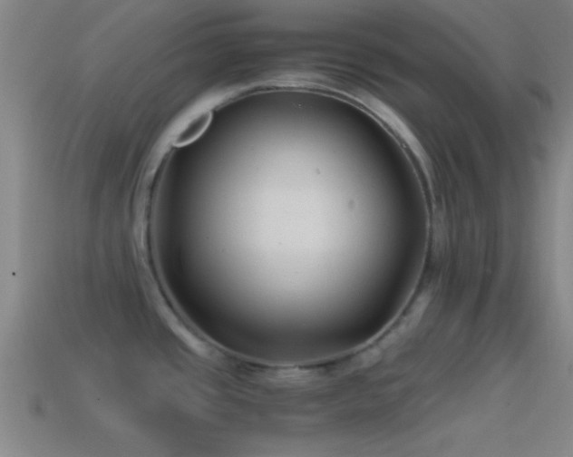 X0000114391437200910161244