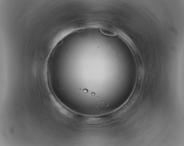 X0000114391439200910161244
