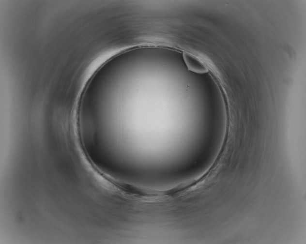 X0000114391440200910161244