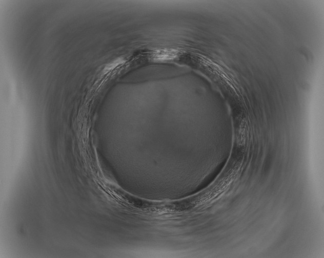 X0000114391441200910161244