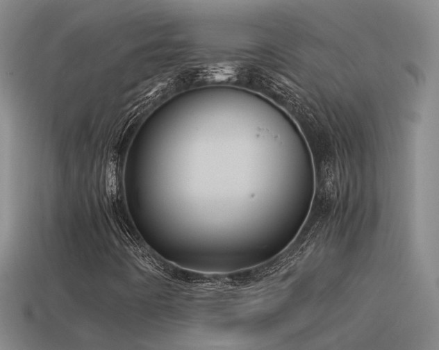 X0000114391442200910161244