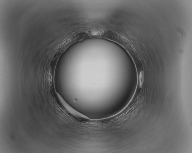 X0000114391443200910161244