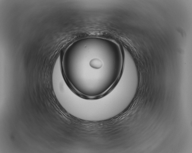 X0000114391444200910161244