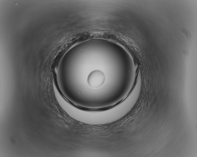 X0000114391445200910161244
