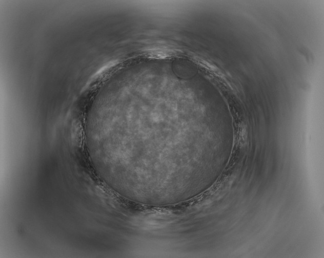 X0000114391446200910161244