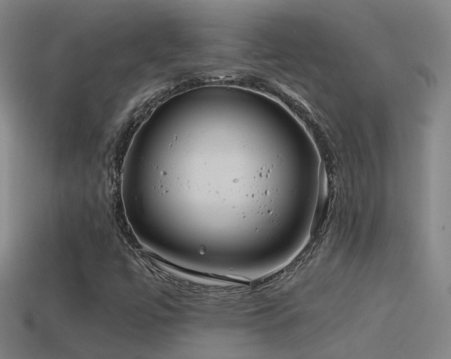 X0000114391447200910161244