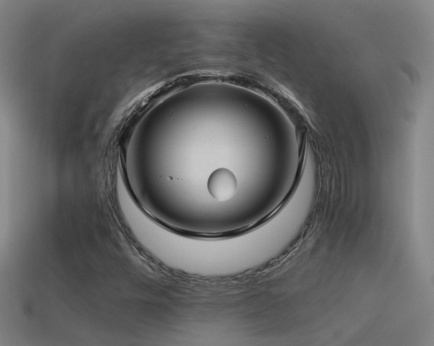 X0000114391448200910161244