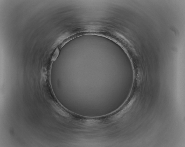 X0000114391449200910161244