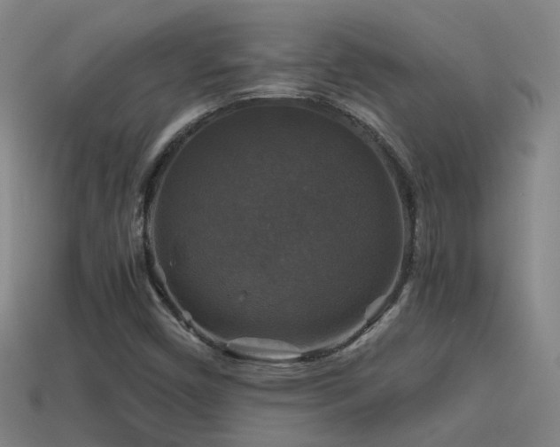 X0000114391450200910161244