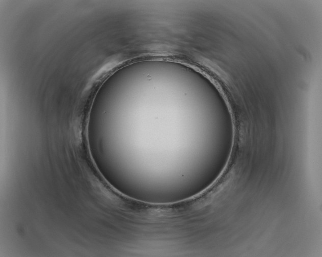 X0000114391451200910161243