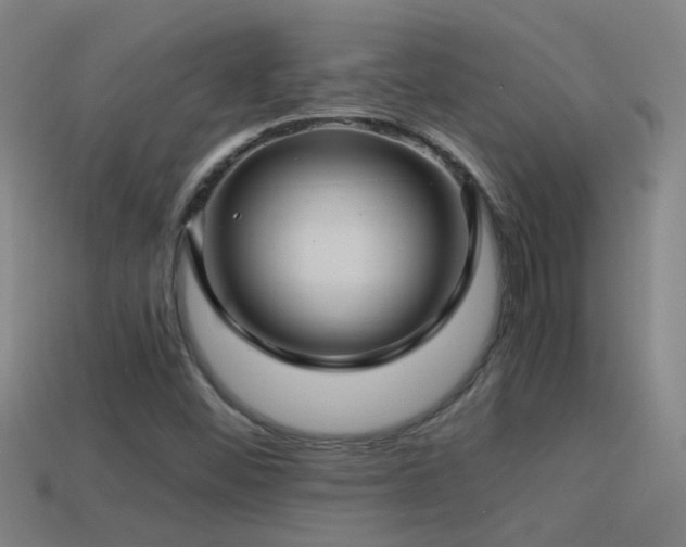 X0000114391452200910161243
