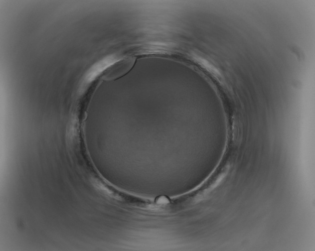 X0000114391453200910161243