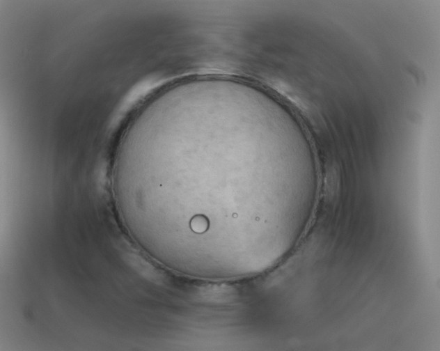 X0000114391454200910161243