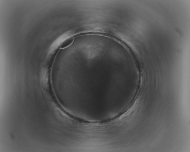 X0000114391455200910161243