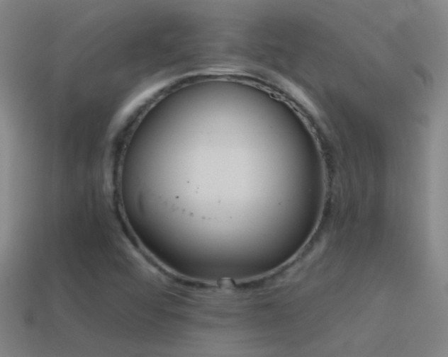 X0000114391456200910161243