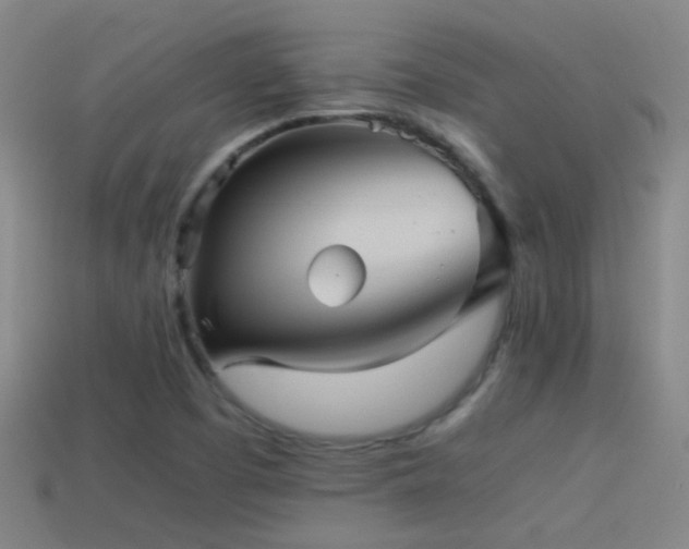 X0000114391457200910161243