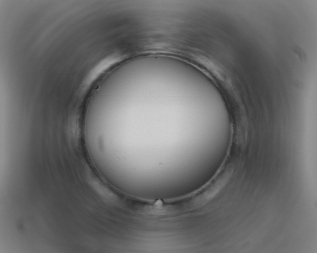 X0000114391458200910161243