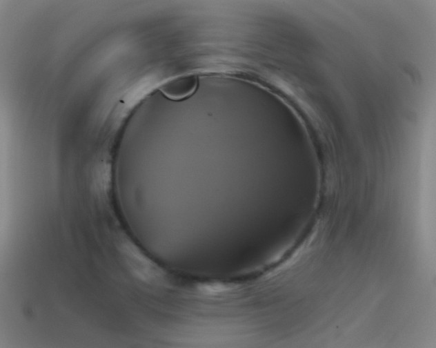X0000114391459200910161243