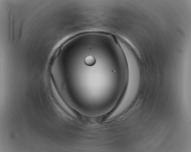 X0000114391460200910161243