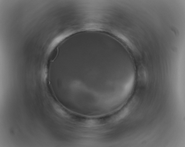 X0000114391461200910161243