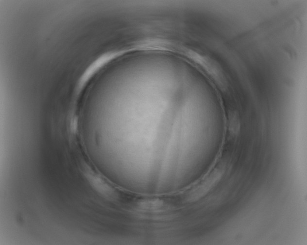 X0000114391462200910161243