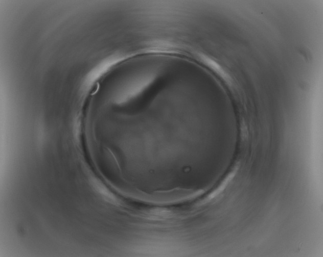 X0000114391463200910161243