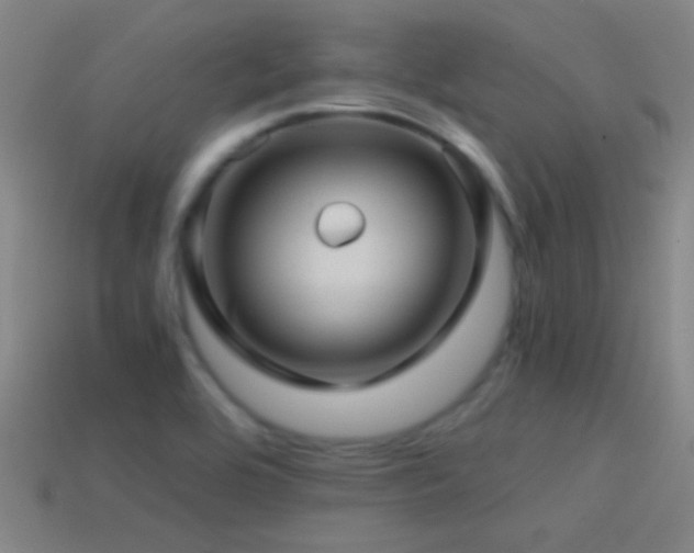 X0000114391464200910161243
