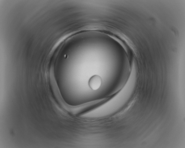 X0000114391465200910161243