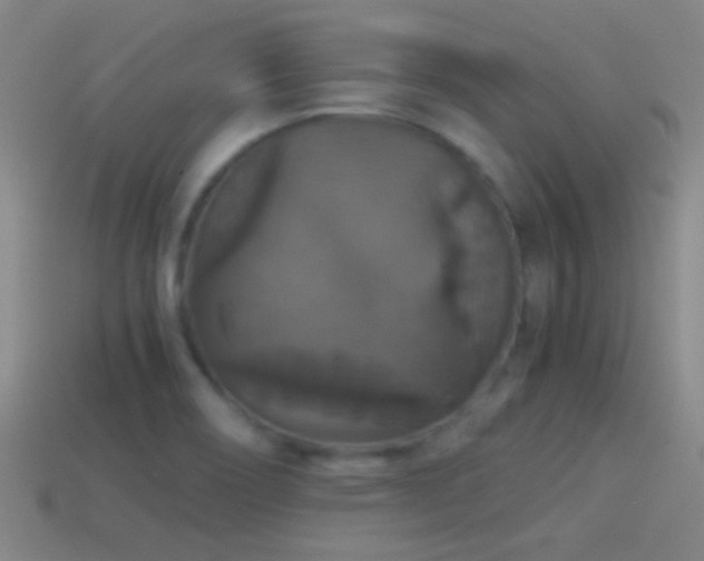 X0000114391466200910161243