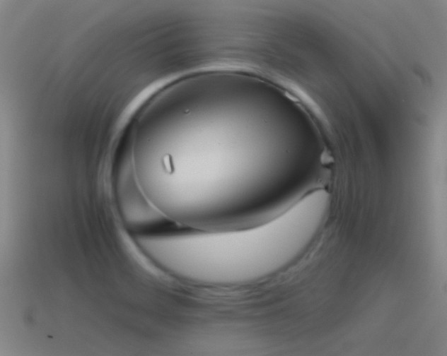 X0000114391468200910161243