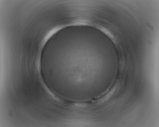 X0000114391469200910161243