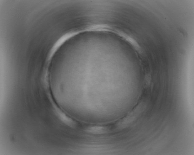 X0000114391470200910161243